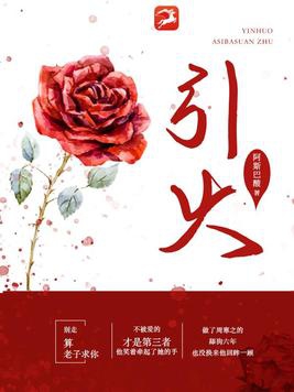 引火小说全文免费阅读无弹窗